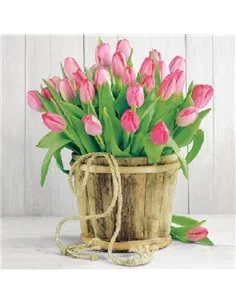 TULIPANES 5