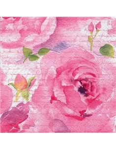 DELICADA ROSA