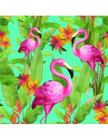 FLAMENCOS