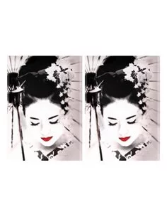 PAPEL ARROZ GEISHA 2 2