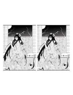 PAPEL ARROZ GEISHA 6 2