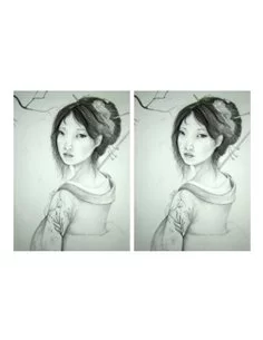 PAPEL ARROZ GEISHA 7 2