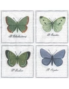 MARIPOSAS 4 COLORES - 1