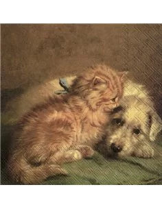 PERRO Y GATO EN EL SUELO
