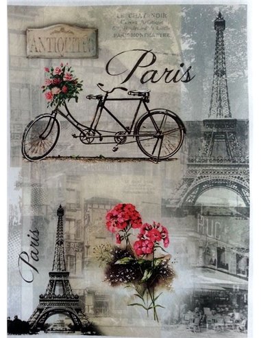 PAPEL PARIS 3