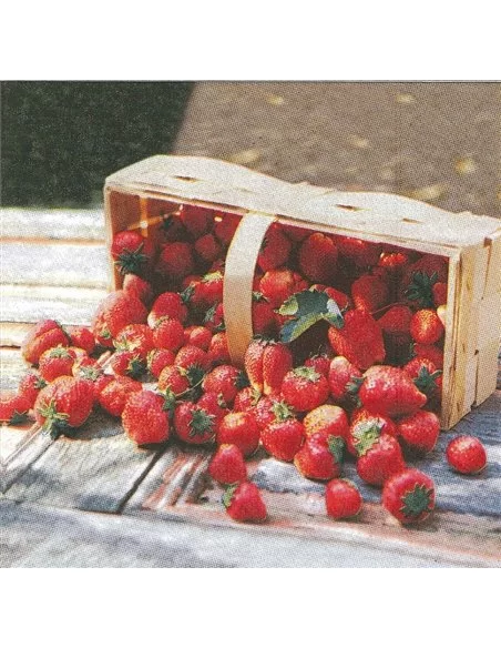 CAJA FRESAS 1