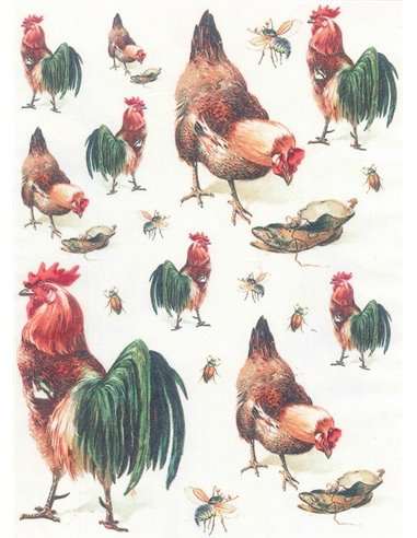 PAPEL GALLINERO 3