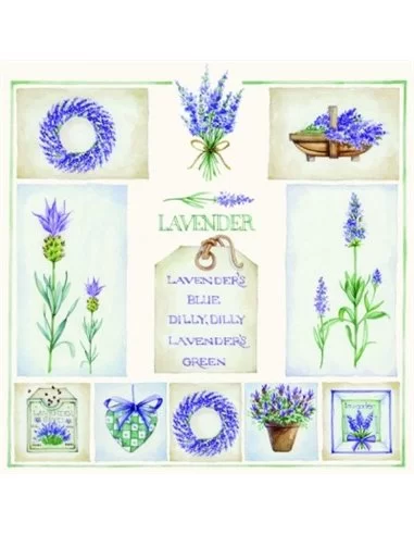 LAVANDA 14