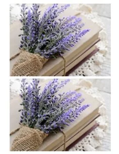 RAMO LAVANDA 2