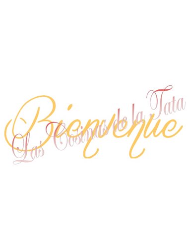 PALABRA BIENVENUE