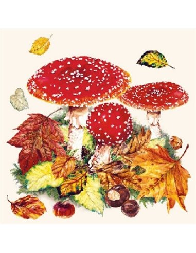 FLY AGARIC