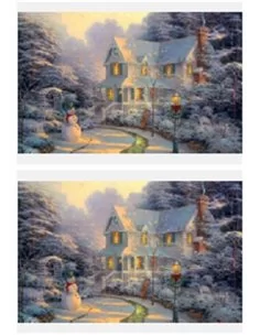 PAPEL ARROZ PAISAJE NEVADO 2 2