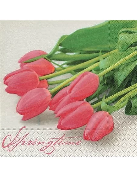 TULIPANES ROSAS TULIPANES ROSAS