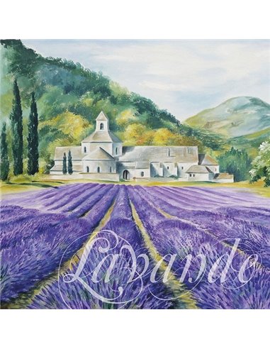 CAMPO DE LAVANDA