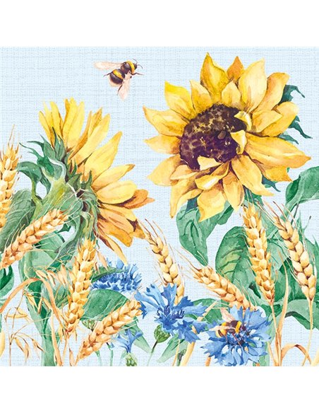 CAMPO DE TRIGO Y GIRASOLES