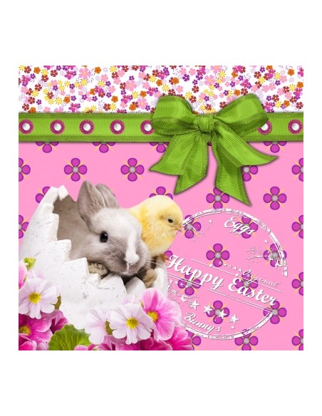 Servilletas Decoupage Conejo Con Pollito 1