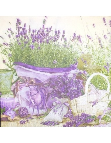 CESTO LAVANDA