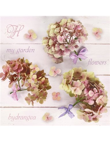 HYDRANGEA FLOWERS