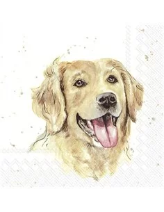 FARMFRIEND DOG