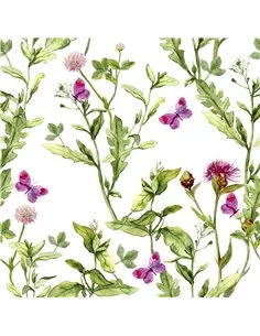 PINK SPRING