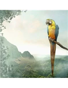 PARROT