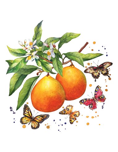 FRUITY BUTTERFLIES