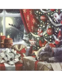 CAT IS WAITING FOR