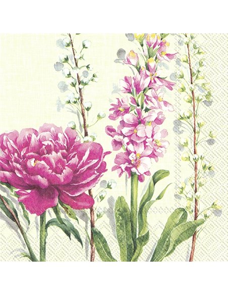 PEINGSTROSE LIGHT GREEN