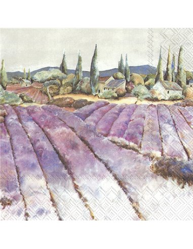 CAMPO DI LAVANDA