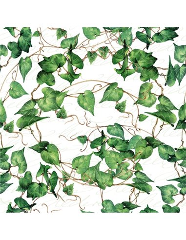 GREEN IVY BRANCHES