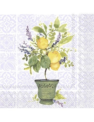 LEMON TREE