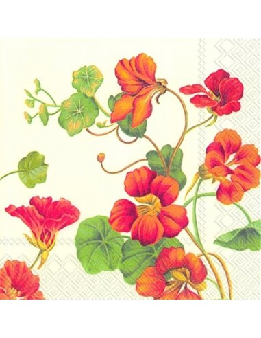 NASTURTIUM CREAM