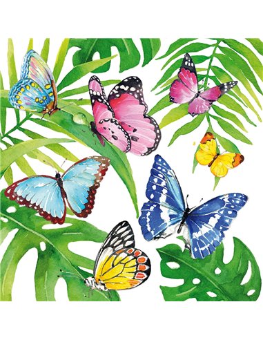 TROPICAL BUTTERFLIES