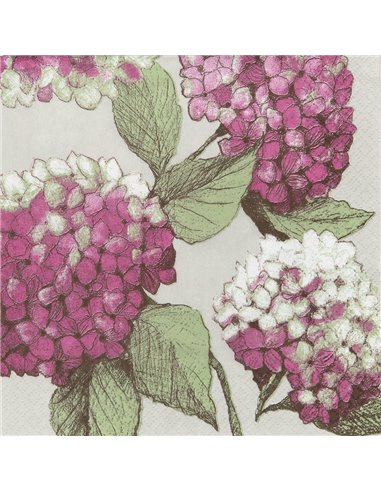 HORTENSIA