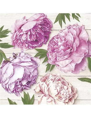 ROMANTIC PEONIES ON