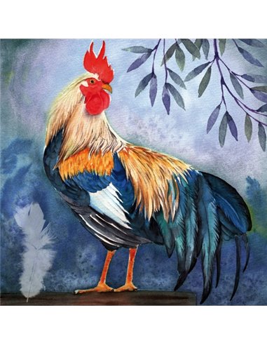 COQ À PLUMES BLEUES