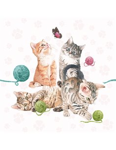 PLAYING KITTEN