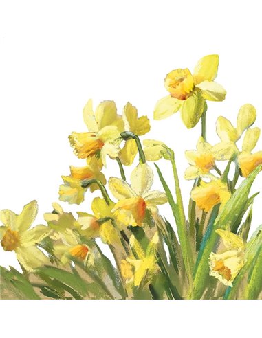 GOLDEN DAFFODILS