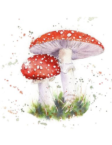 PAINTED FLY AGARIC