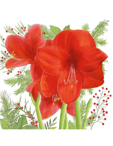 AMARYLLIS