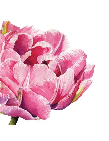 PINK PARROT TULIP NAPKIN