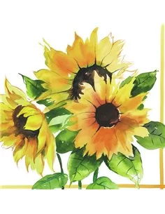 GIRASOLI