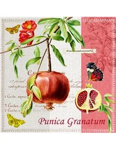 PUNICA GRANATUM