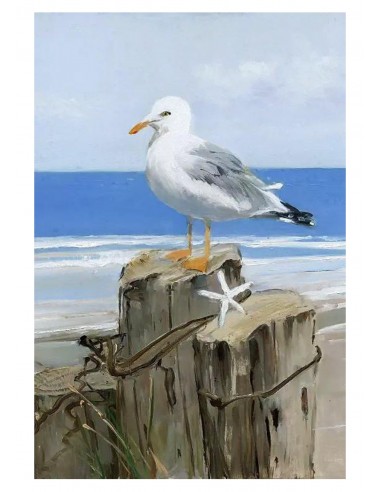 Papel De Arroz Seagull