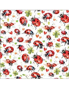 LADYBUG FLIGHT