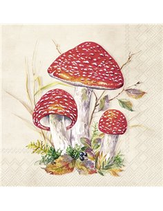 TOAD CREAM