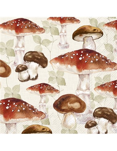 MUSHROOM ALLOVER