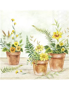 PLANT UN POTS LIGHT GREEN