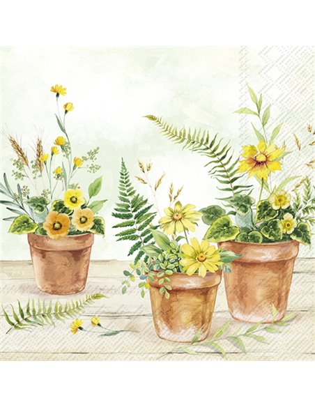 PLANT UN POTS LIGHT GREEN