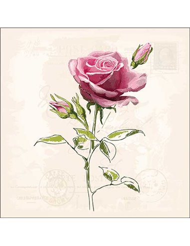 VINTAGE ROSE